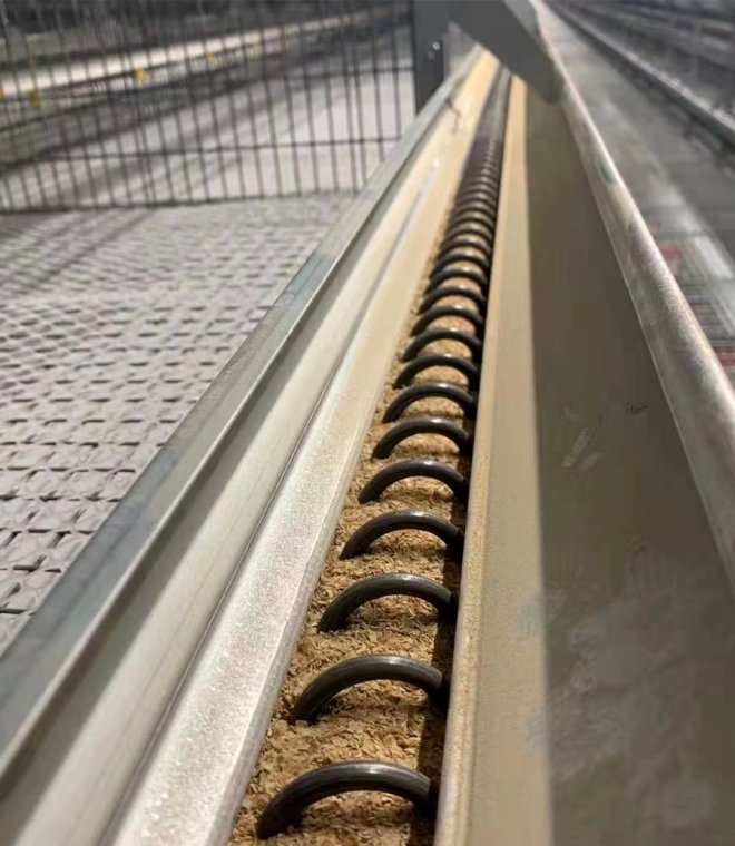 Screw Auger Feeding System