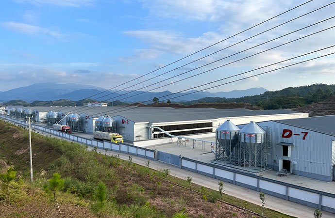 Xunwu 3Million Layer Farm Turnkey Project