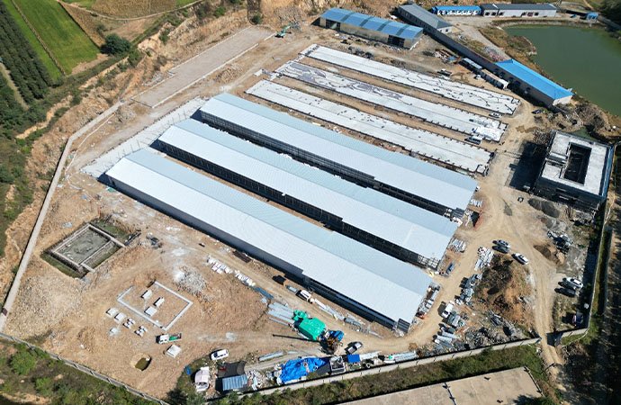 Huludao 600K Broiler Farm Turnkey Project