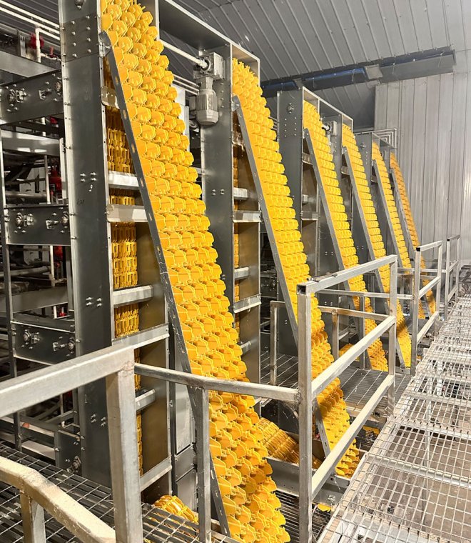 Egg Collection System