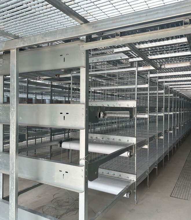 AFO Broiler Cage System