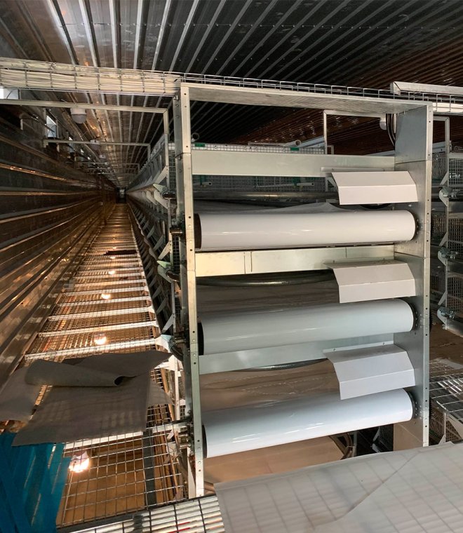 In house chicken manure conveying system