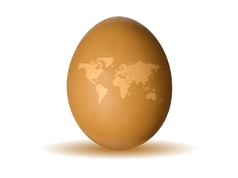 Global egg consumption increases with changing diets